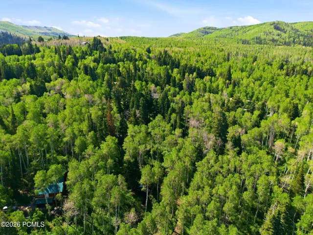 Aerial view showcasing the property's wooded setting within the gated Timber Lakes community, surrounded by mature trees and mountain terrain.