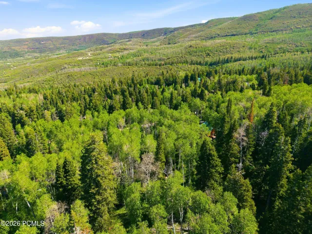 drone photo of area from above