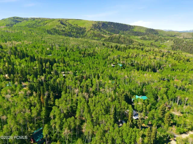 Drone photo showing the relationship between the cabin, surrounding acreage, and the heavily wooded mountain setting.