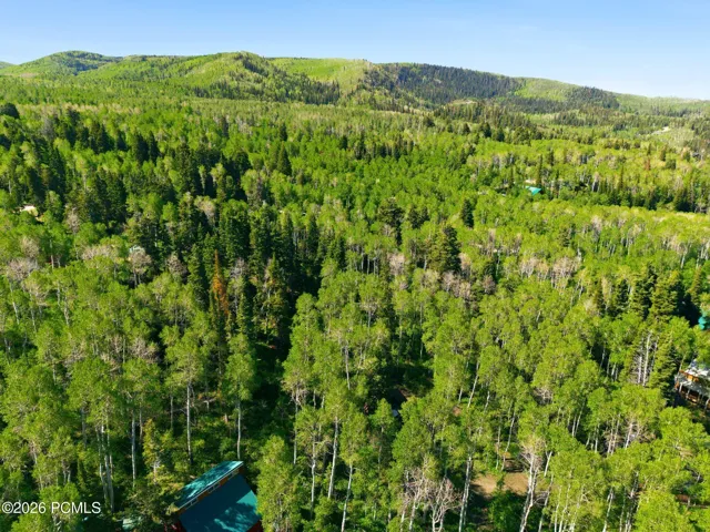 Aerial photo illustrating the privacy and space offered by this 1.03-acre mountain property in the gated Timber Lakes community.