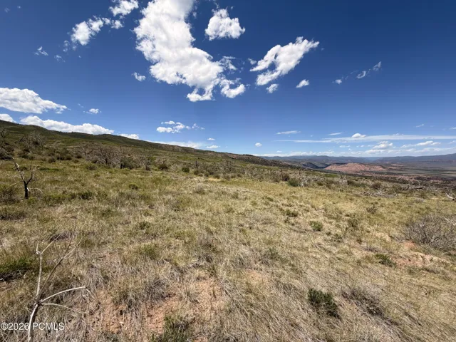 Center of lot, western view. Slightly sloped land, great for building a cabin, camping, or parking a trailer. Blank canvas for endless possibilities.