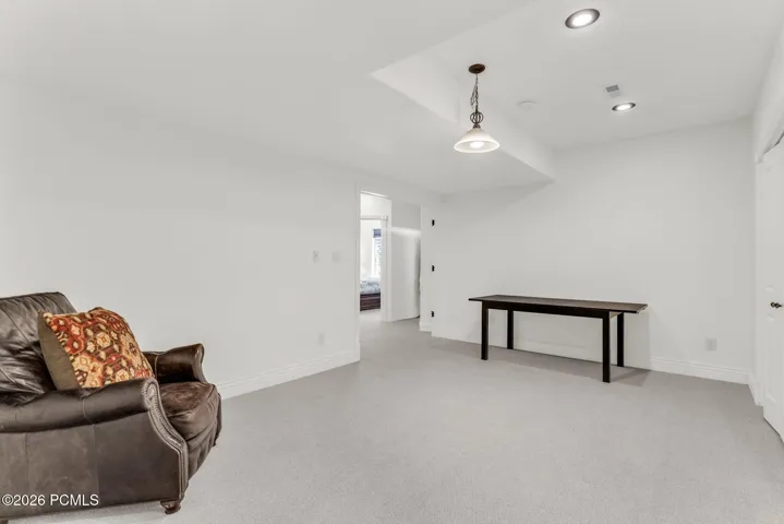 Basement living area