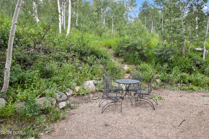Backyard Area