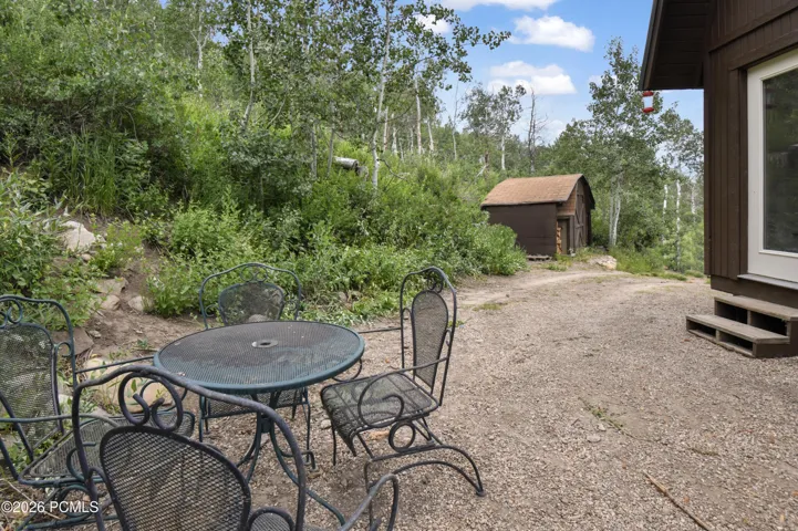 Backyard Area