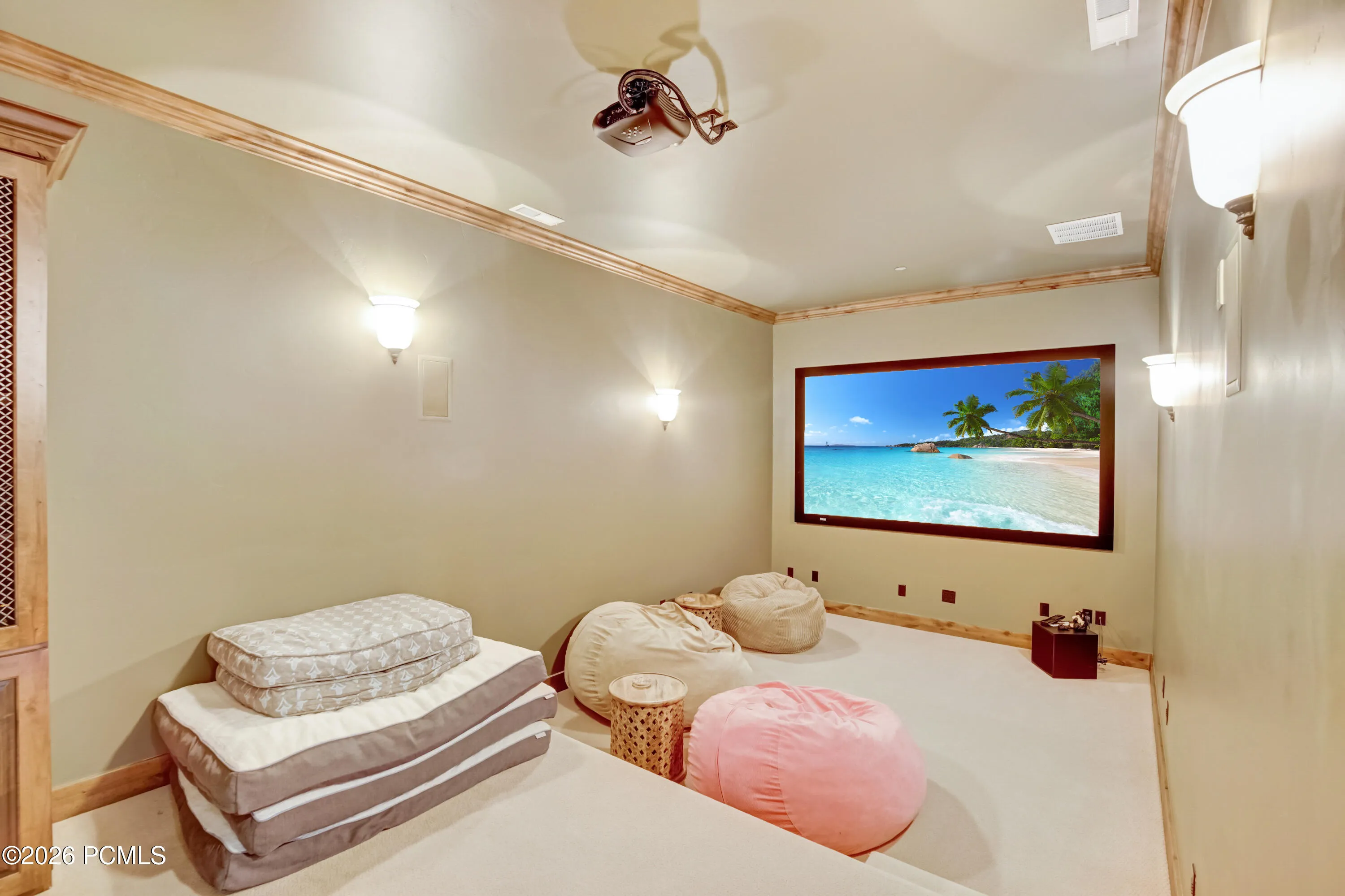 Theatre Room or Future Golf Simulator