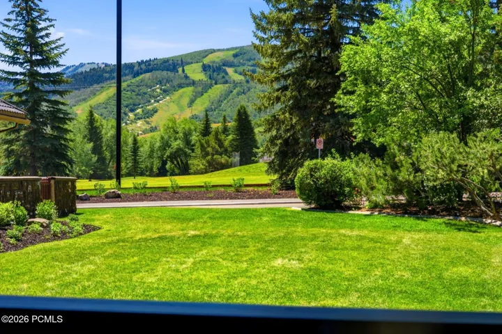 VIEW FROM DECK