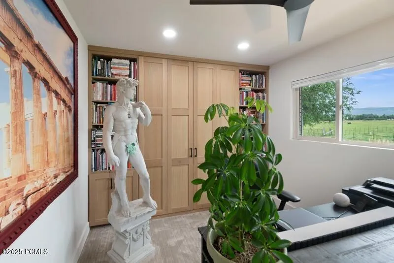 Murphy Bed on back wall