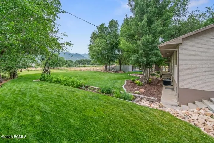 Side view of Backyard