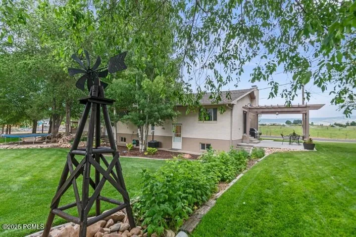 More Backyard