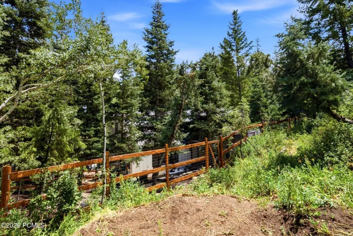 View from rear of property which contains garden beds and natural landscape with dense evergreen trees