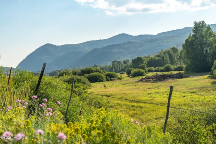 Community horse pasture.