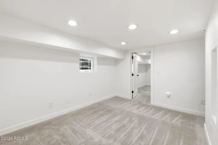 Lower Level Flex Room