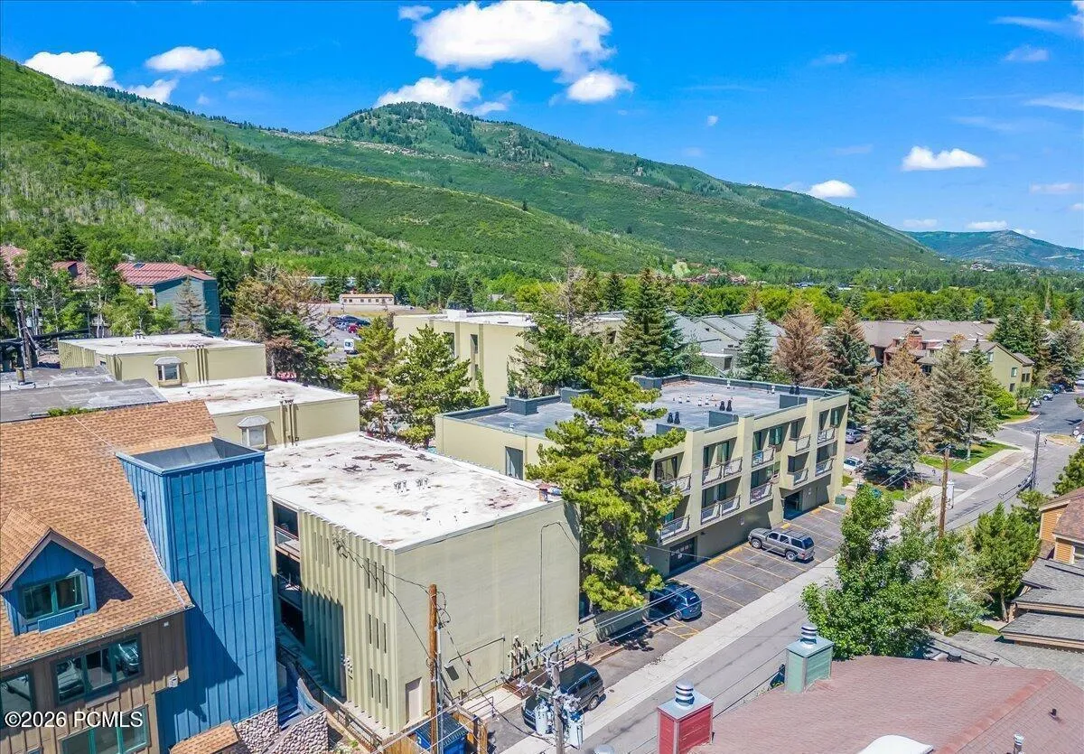 drone shot of edelweiss