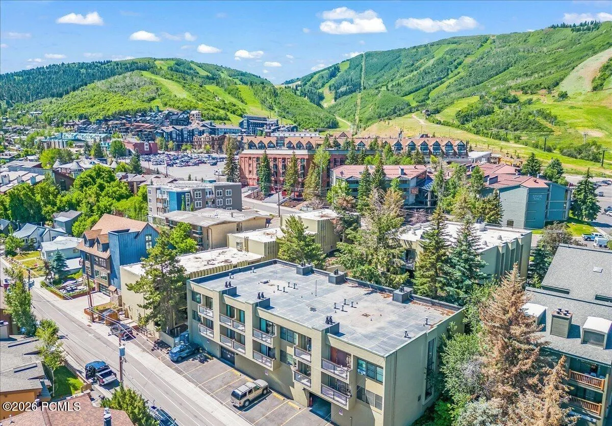 drone shot of edelweiss