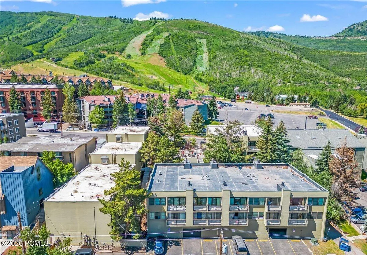 drone shot of edelweiss