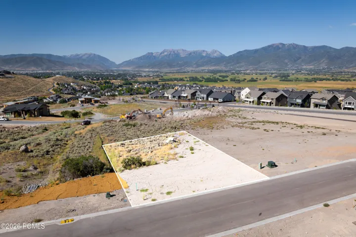 Lot 229