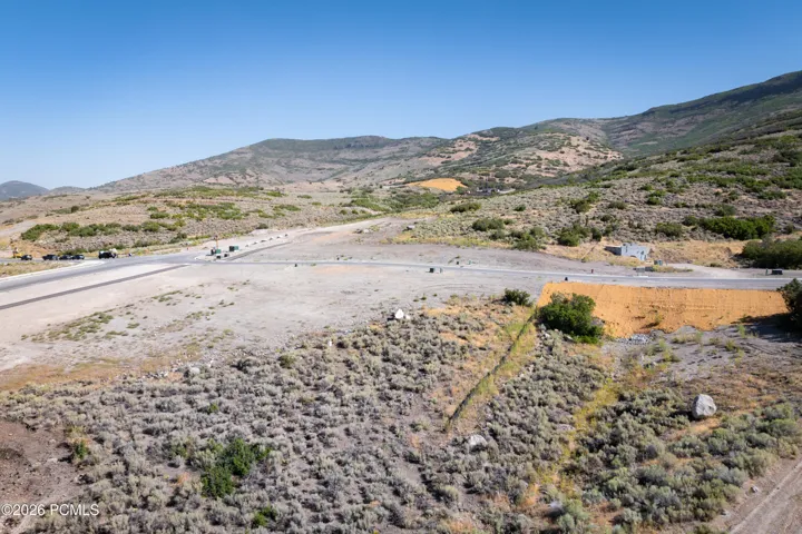 Lot 229