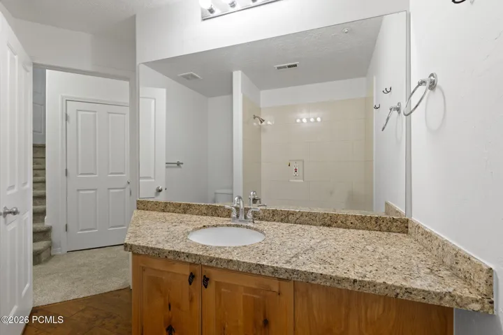 Lower level full bathroom