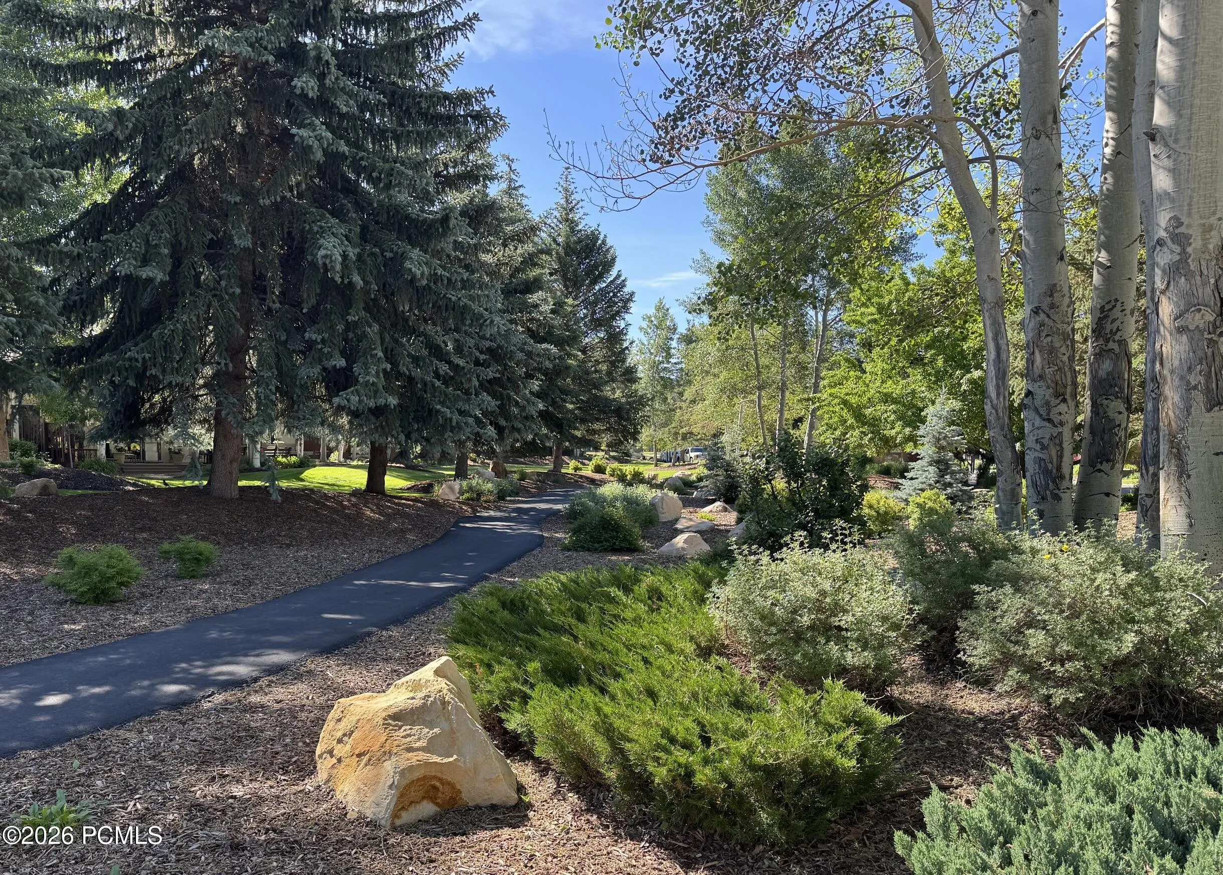 Shady walk way