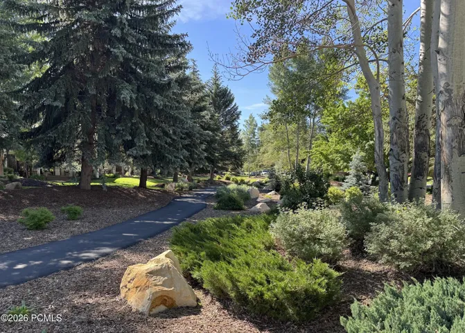 Shady walk way