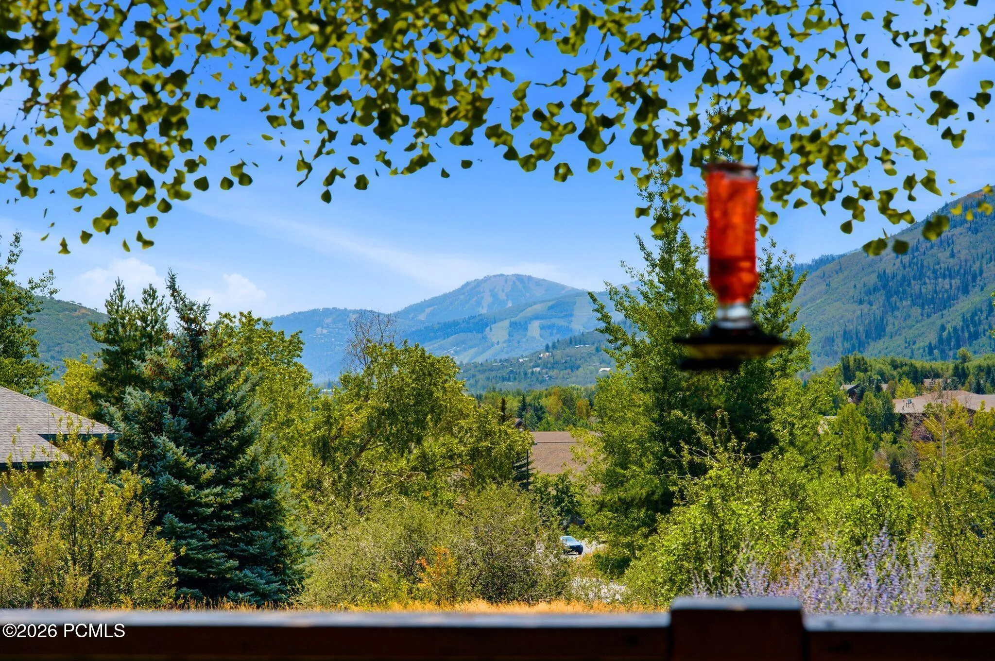 Front deck views