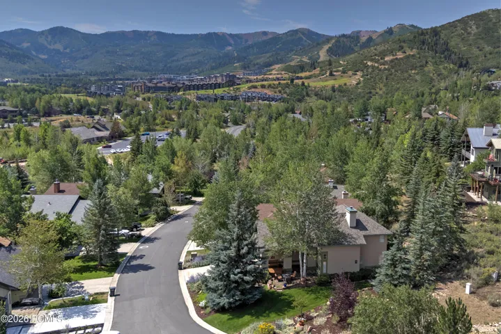 Aerial View of the Area