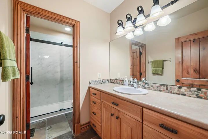 Guest Bathroom Basement