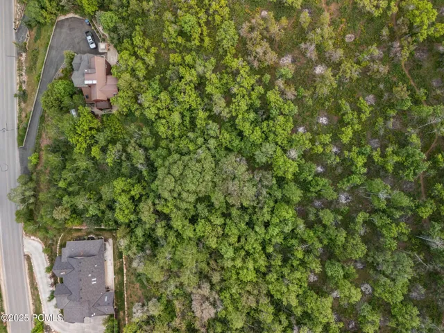 Overhead drone view of the 0.65-acre parcel, showing mature tree cover, Stagecoach Drive frontage, and the wooded buffer that keeps the building site private.