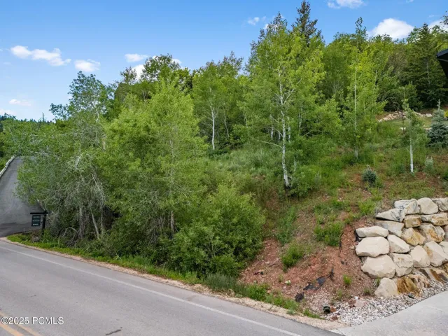 Street-level view of the lot's Stagecoach Drive frontage, with a boulder retaining wall, mature aspens and pines, and the building site rising above the road.