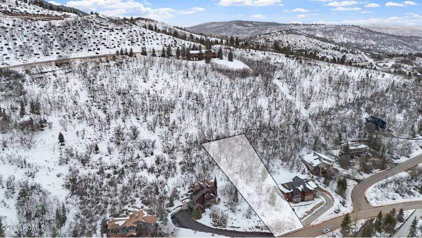 Approximate boundaries of Lot 227 shown from above, with neighboring Pinebrook homes and the year-round maintained street below. Buyer to verify lot lines.