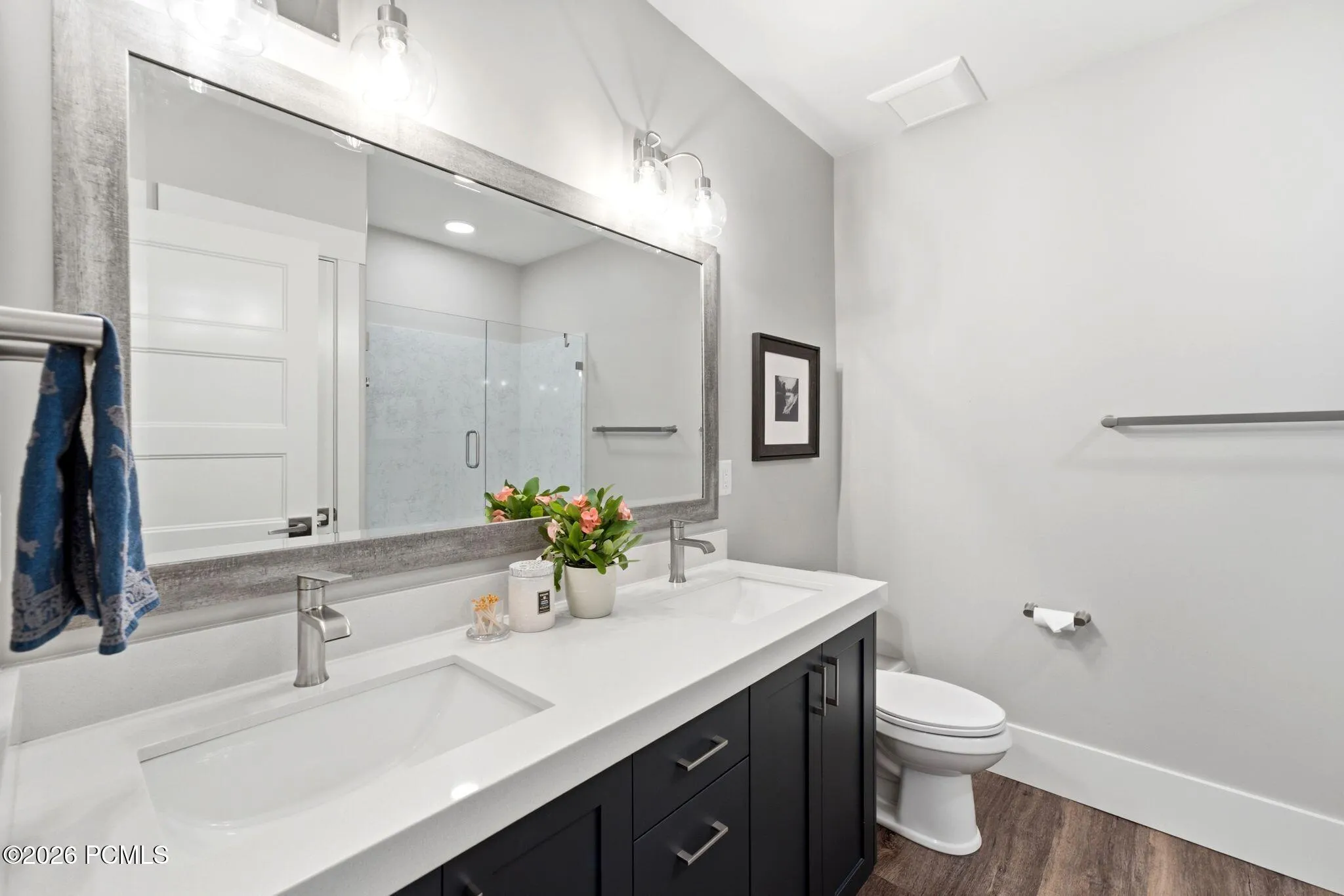 Lower level bathroom