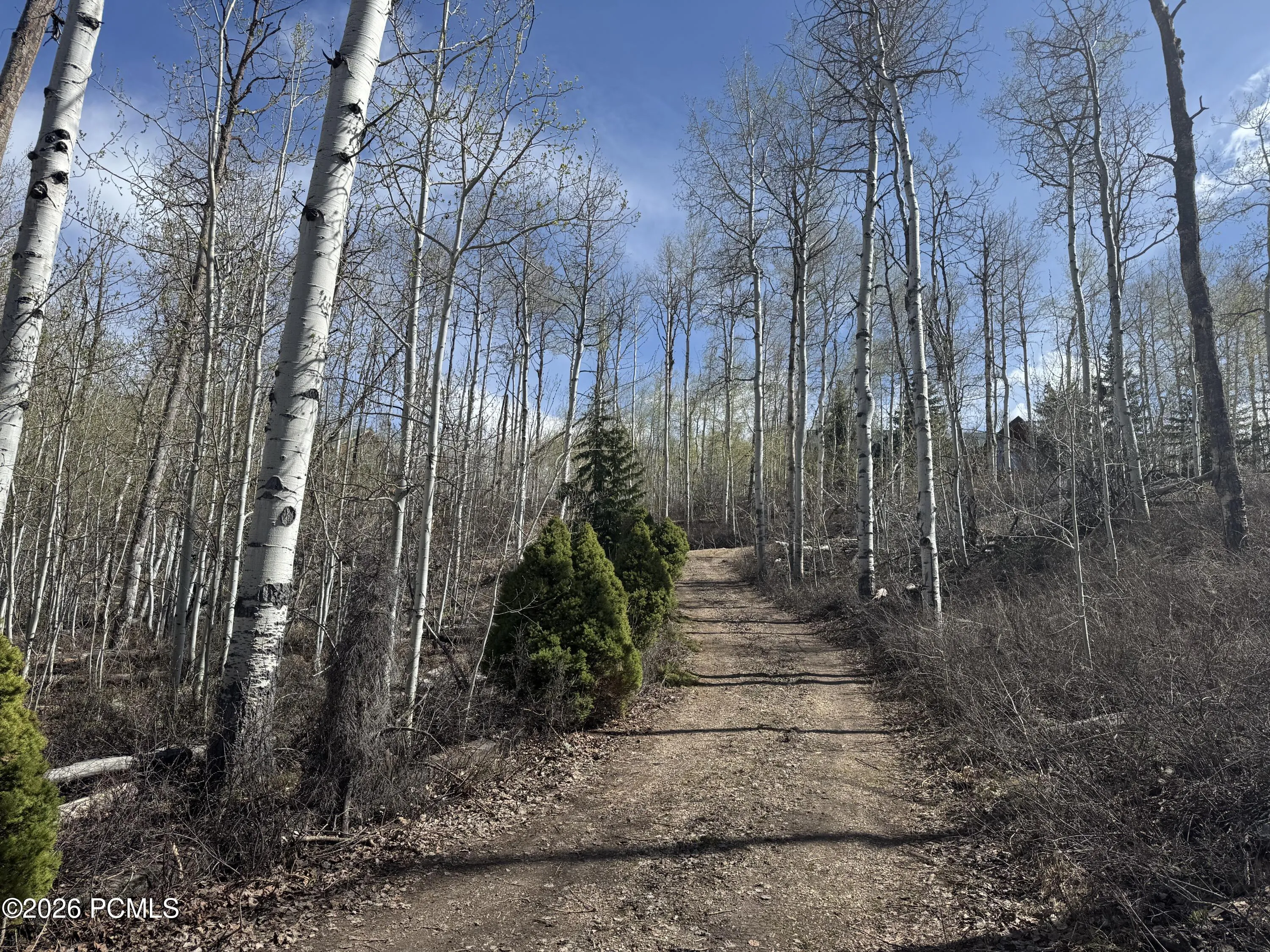 10737 E Tanglewood Drive Unit Lot 630, Heber City, UT 84032