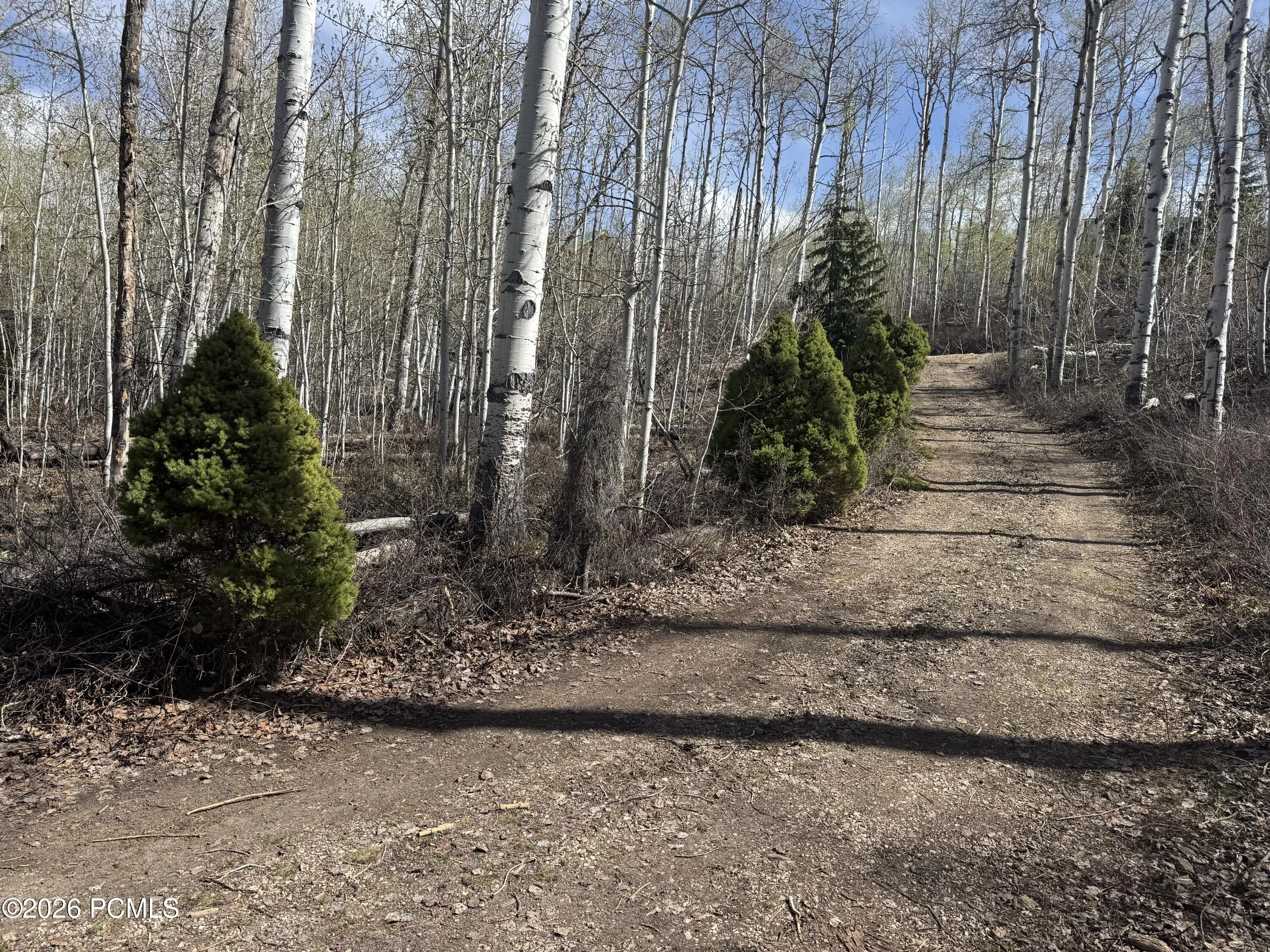 10737 E Tanglewood Drive Unit Lot 630, Heber City, UT 84032