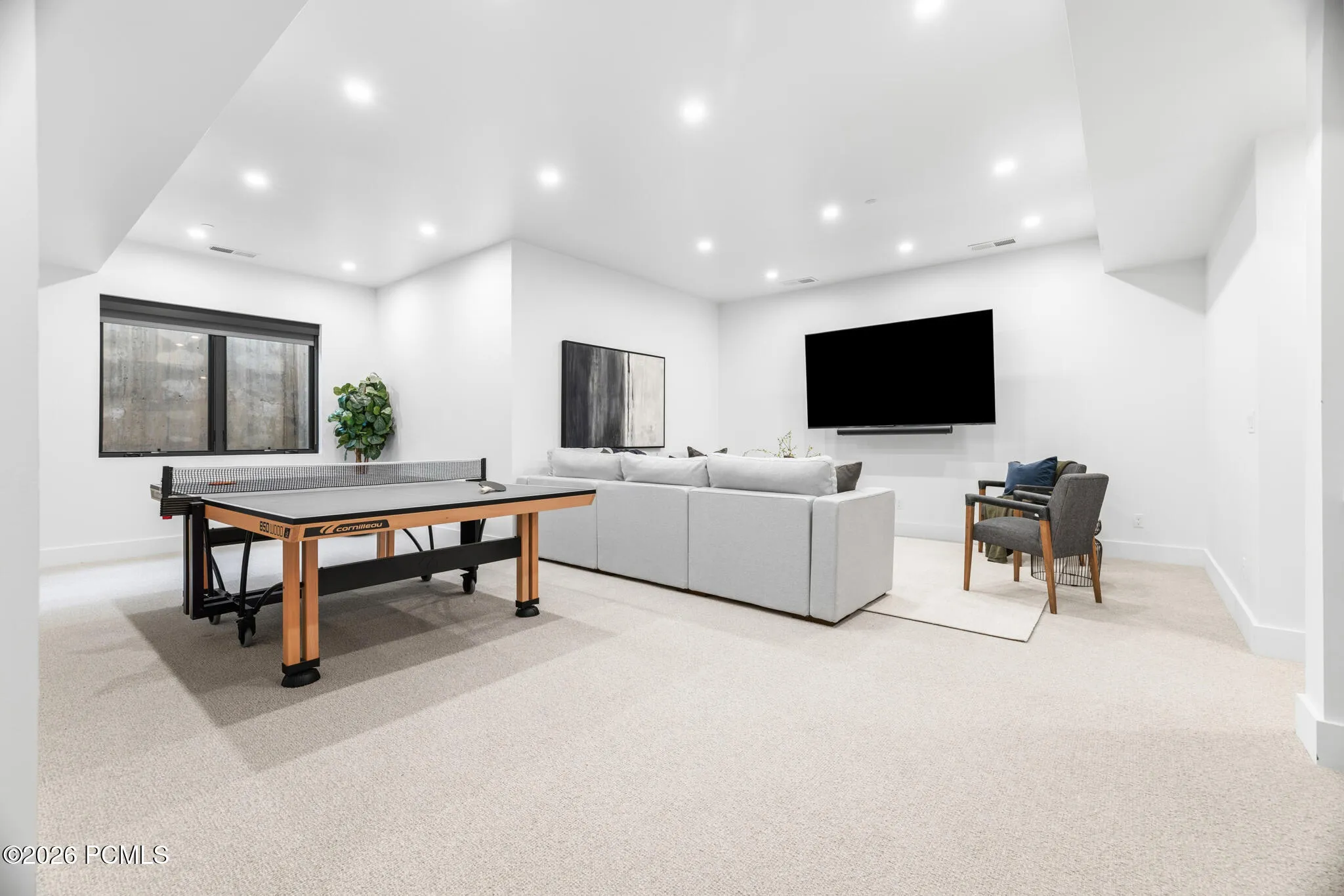 Basement Family Room