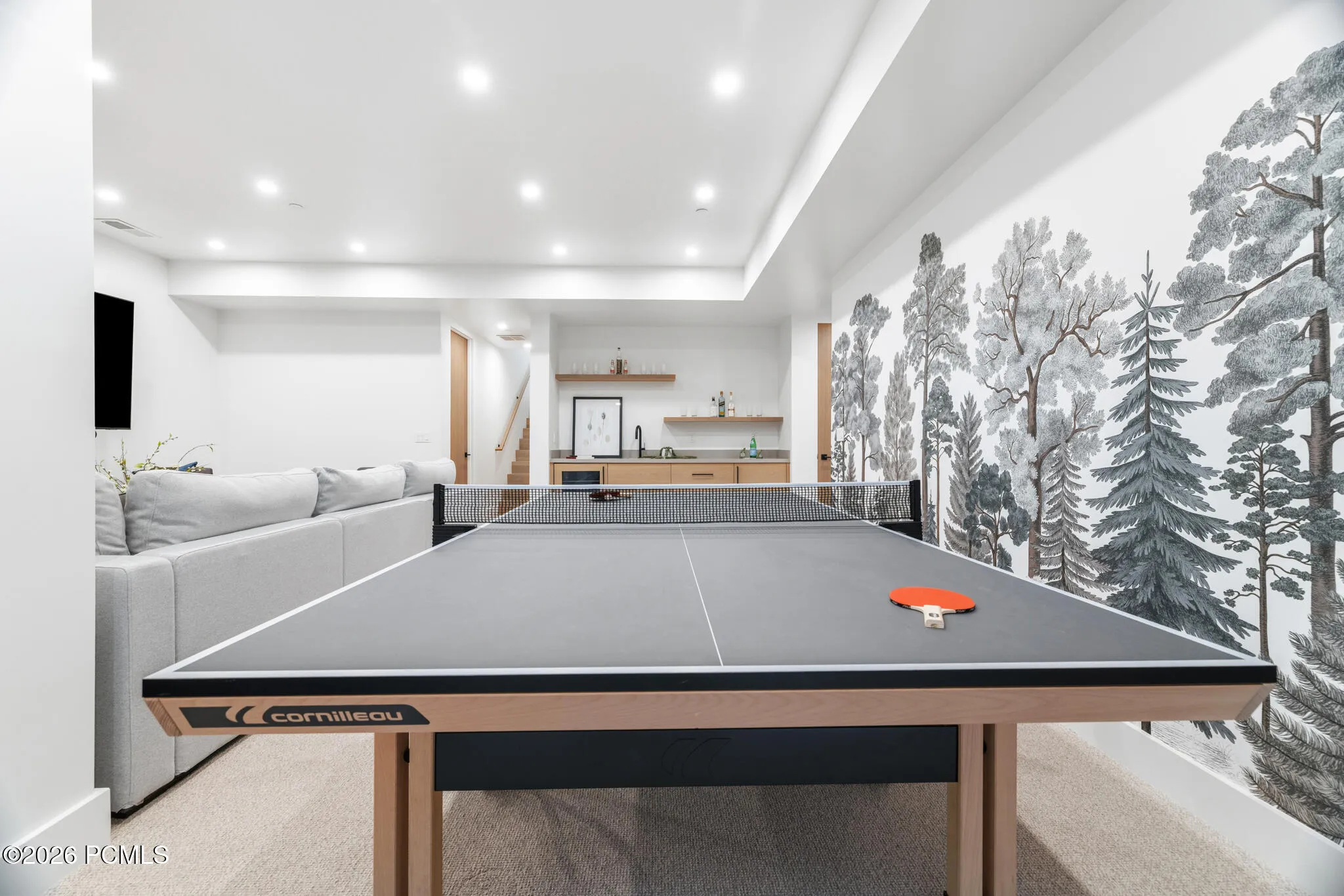 Basement Family Room