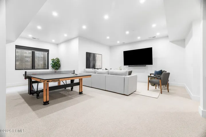 Basement Family Room