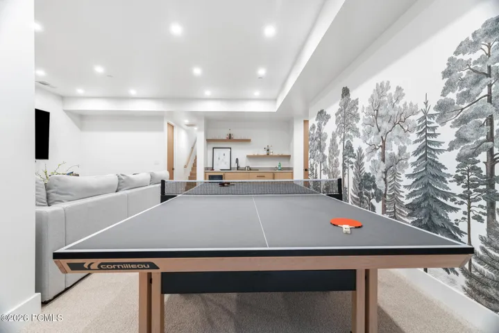 Basement Family Room