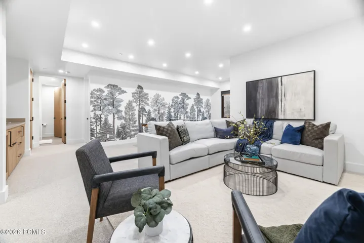 Basement Family Room