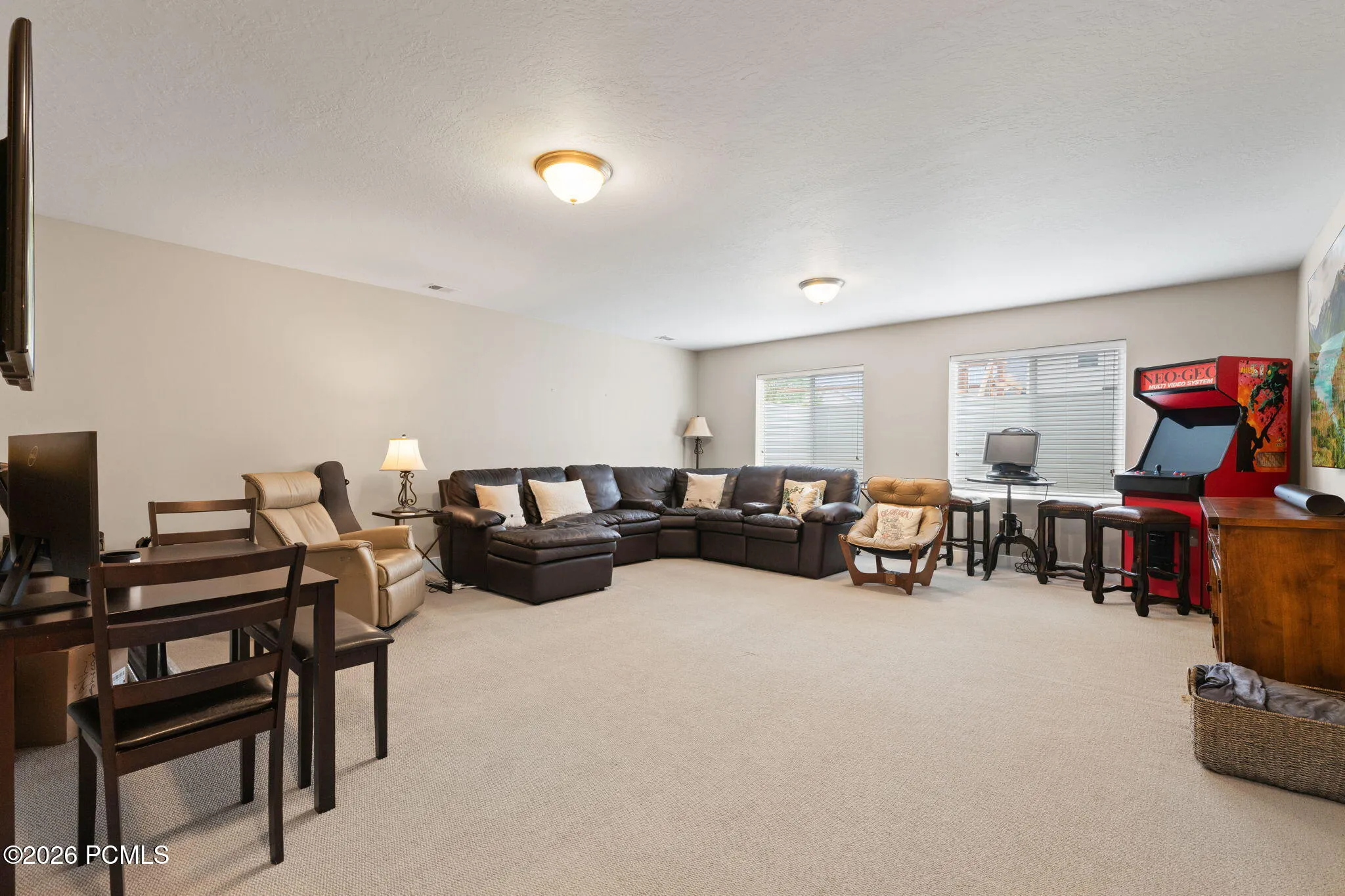Lower level family room