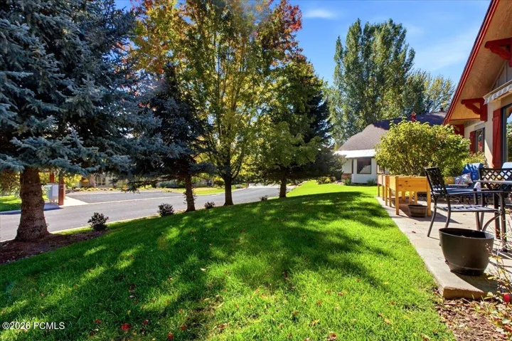 Backyard view featuring mature tress providing shade