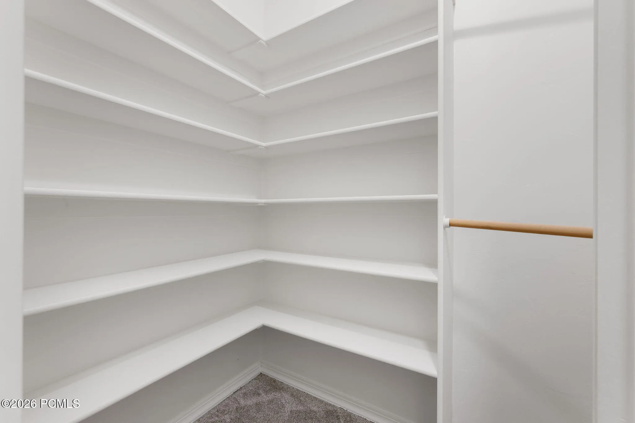 Lower level storage closet