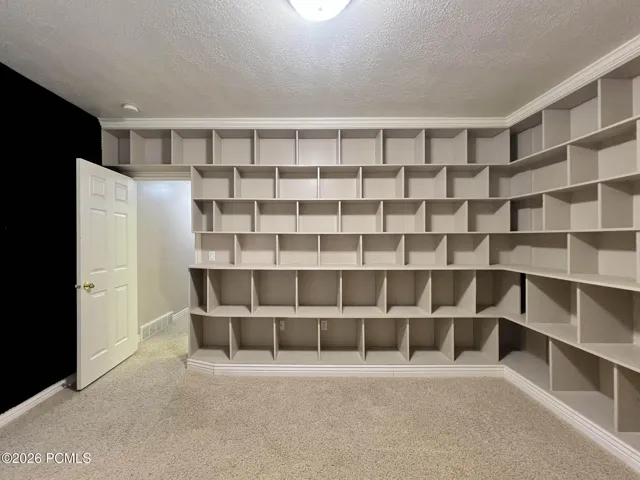 Lower-level bedroom w/ walk-in closet