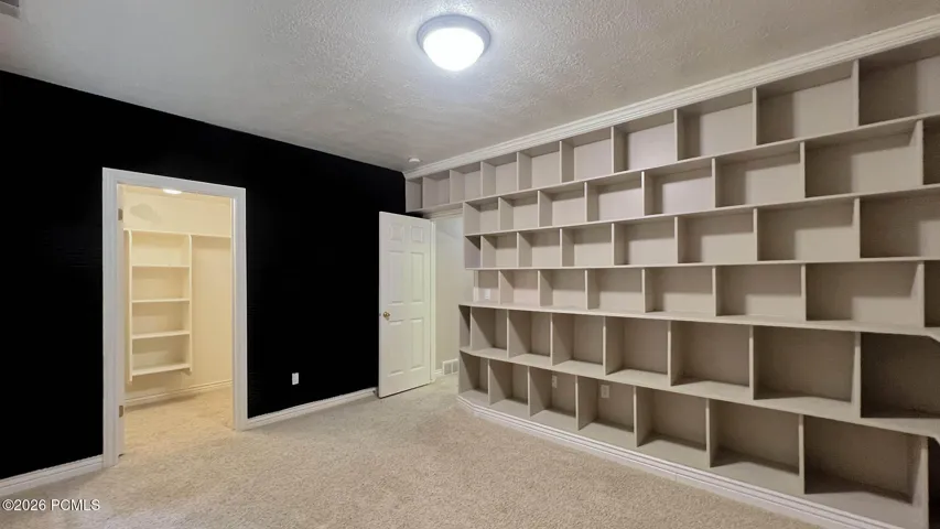 Lower-level bedroom w/ walk-in closet