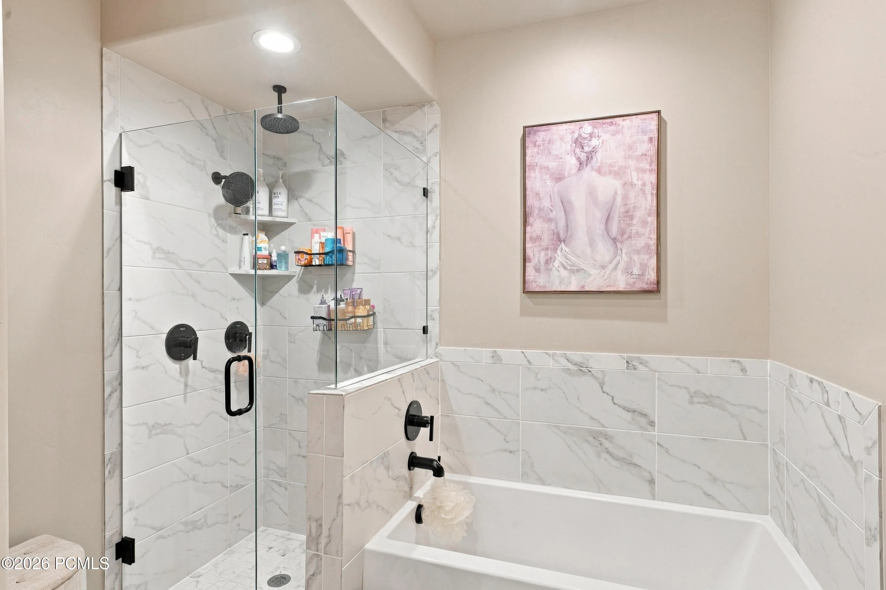 Separate Tub and Euro Glass Enclosed Shower
