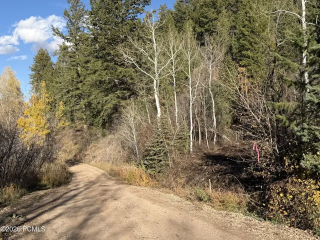 Weber Wild Rd