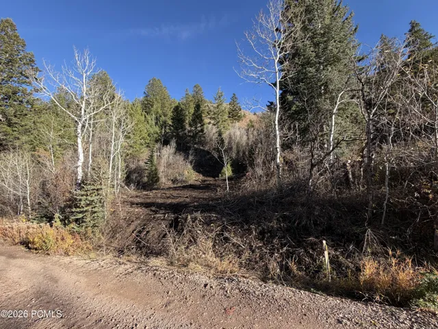 Cut in on lot