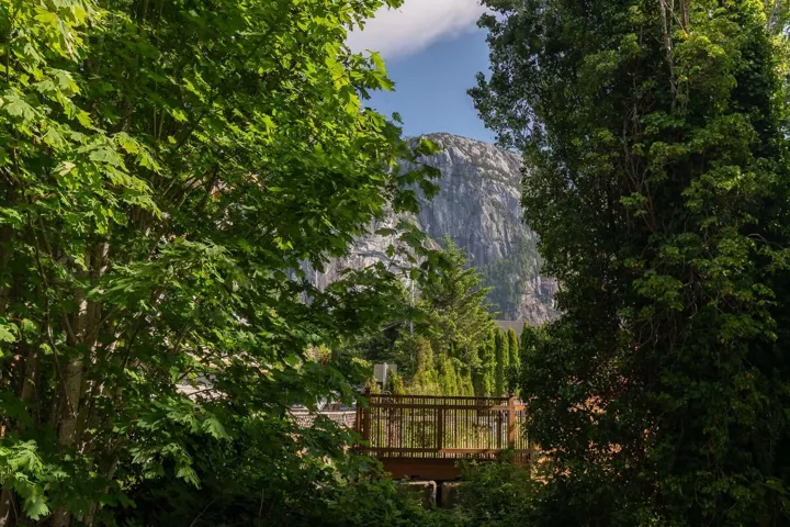 Expansive outdoor deck framed by mature trees, featuring metal railings and a distant mountain backdrop