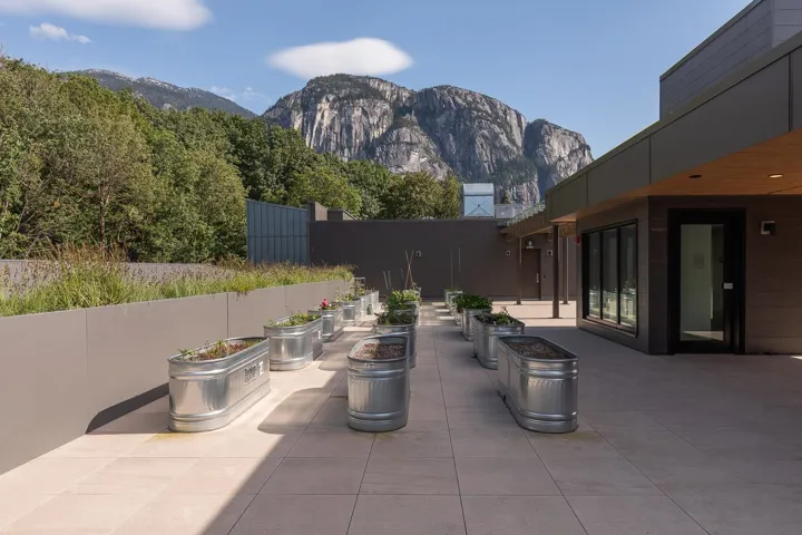 Expansive rooftop patio featuring a mountain backdrop, a tiled surface, multiple galvanized steel planters, and perimeter landscaping