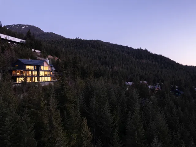 Mountain view with a heavily wooded area