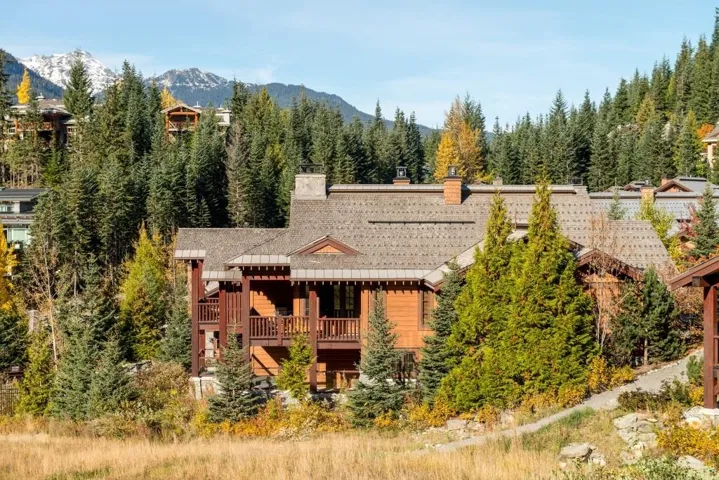 Rear view of property featuring a porch, a chimney, a mountain view, and a forest view